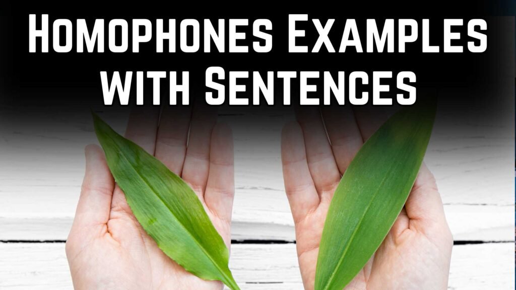 Homophones Examples with Sentences