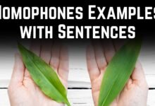 Homophones Examples with Sentences